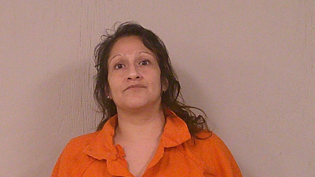 SILVA, JEANNETTE NEGRETE arrested in Burnet County, Texas mugshot