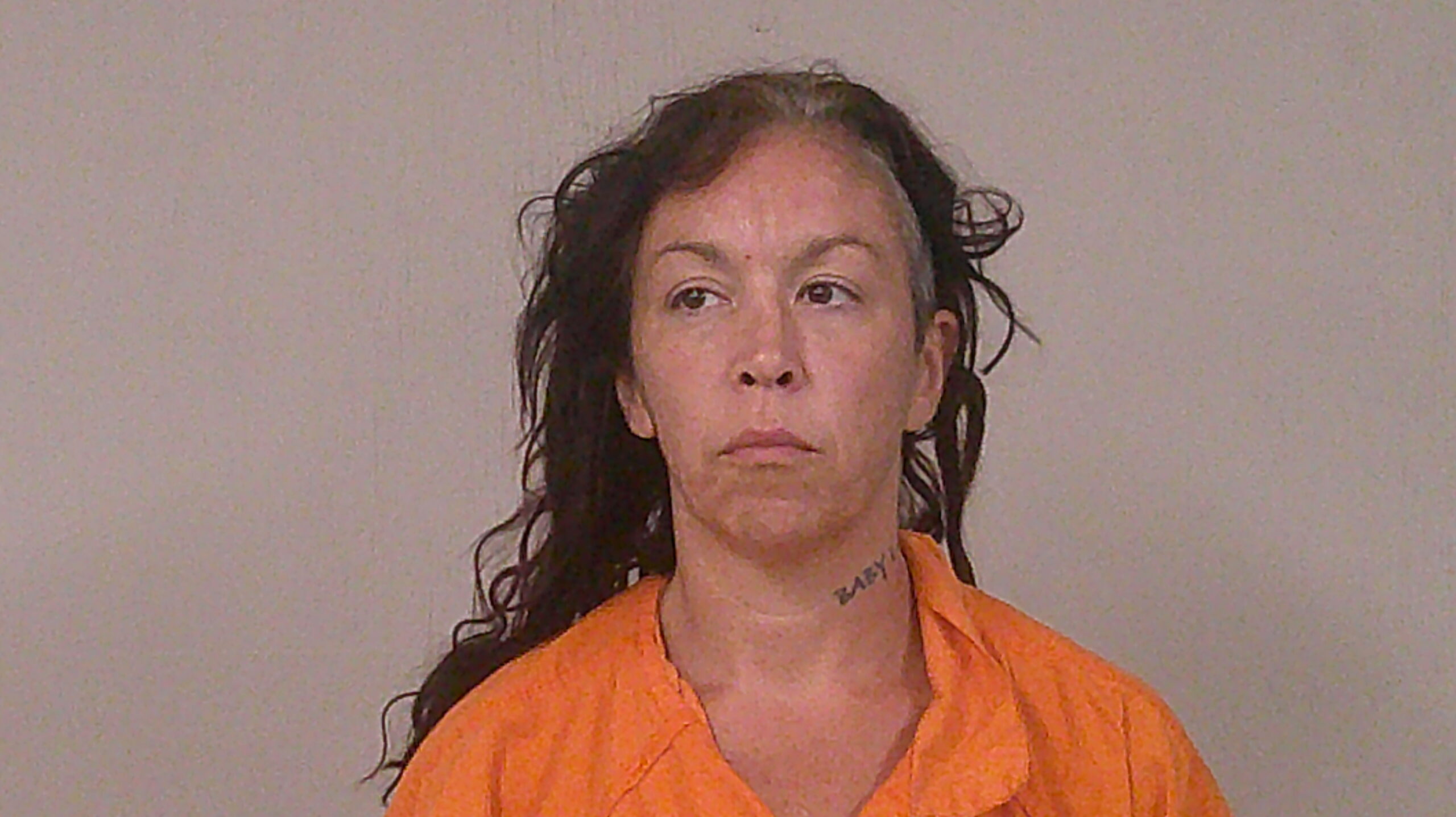 JACKSON, RAQUEL LEE arrested by Burnet County Sheriff’s Office