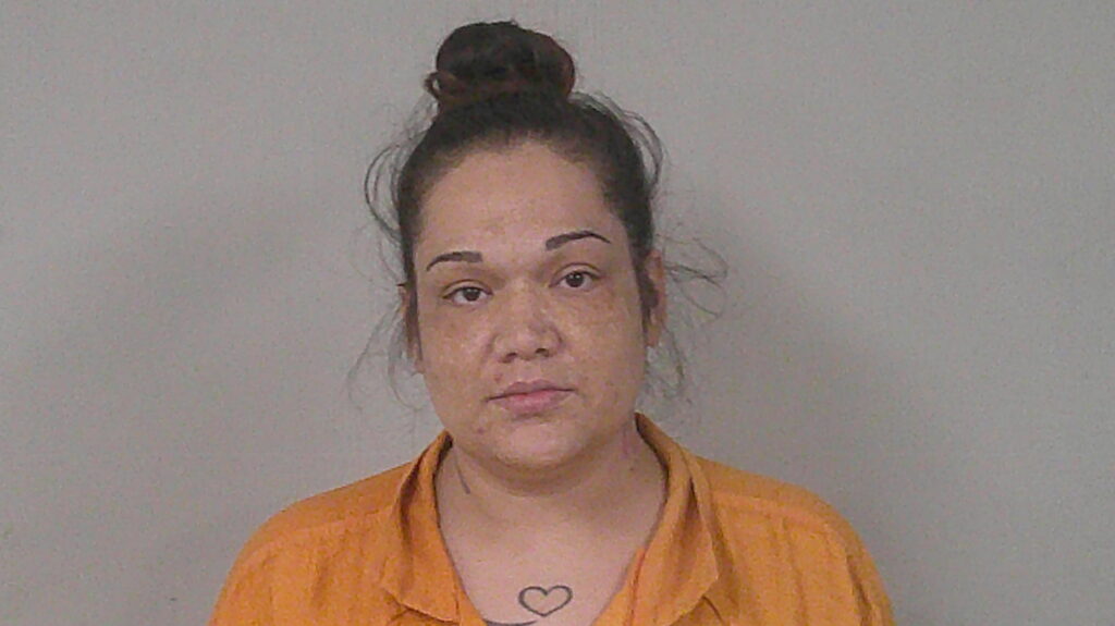 RAMOS, YOLANOO CORTINAS arrested in Burnet County, Texas mugshot