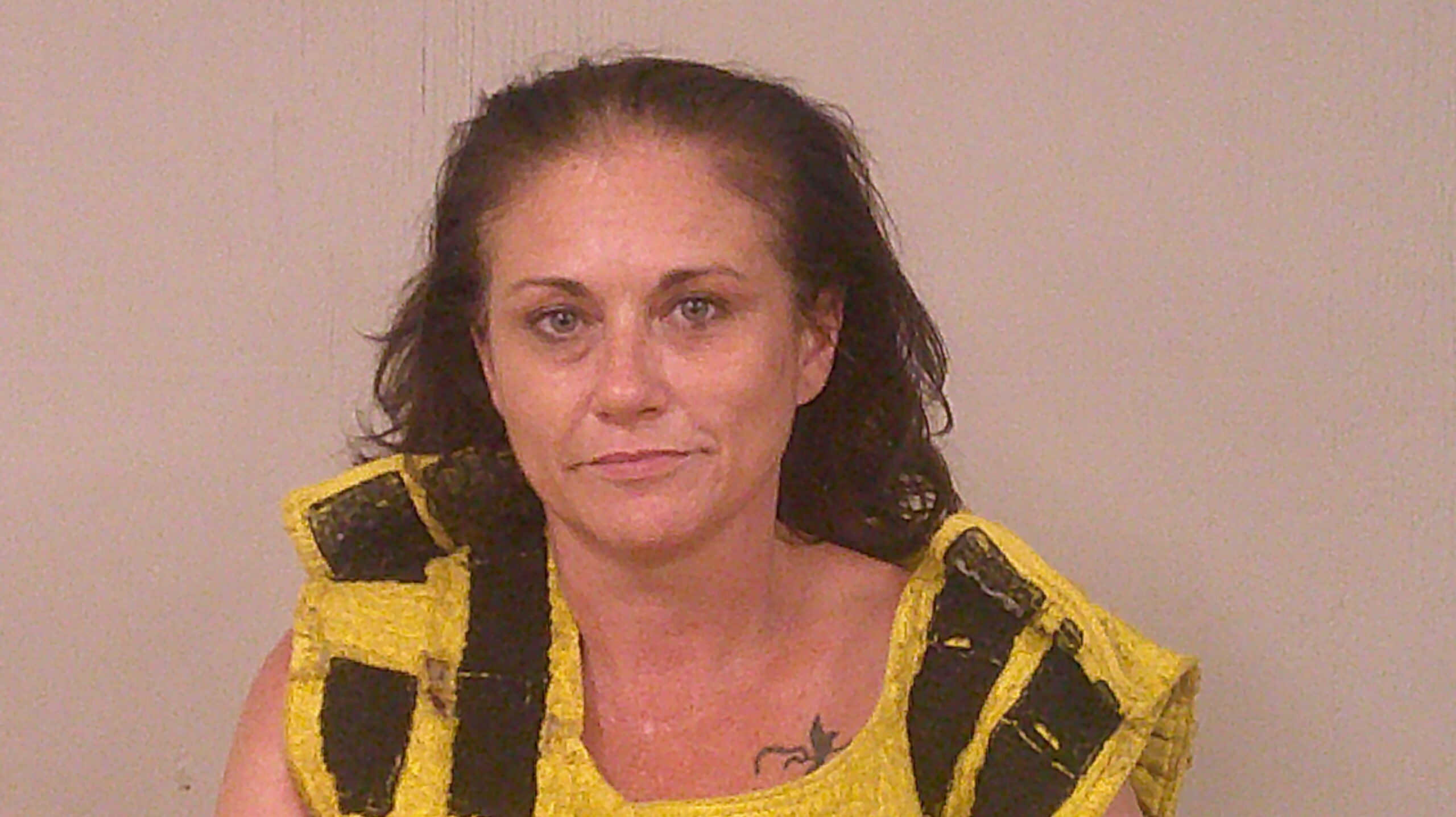 MEADOR, MELISSA MONETTE arrested by Burnet County Sheriff’s Office