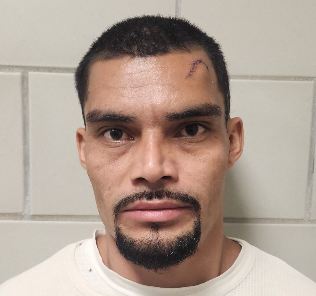 DOMINGUEZ-MURILLO, LUIS arrested in Burnet County, Texas mugshot