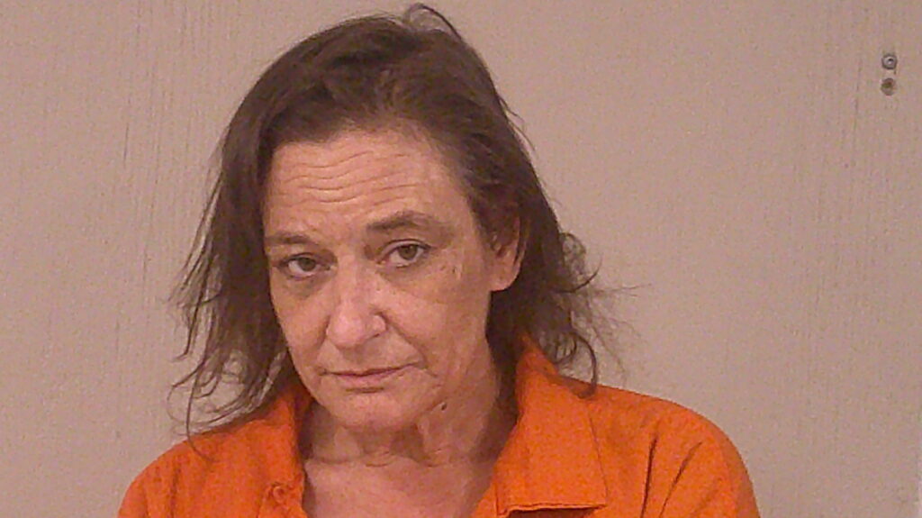 SIMON, JENNIFER LYNNE arrested in Burnet County, Texas mugshot