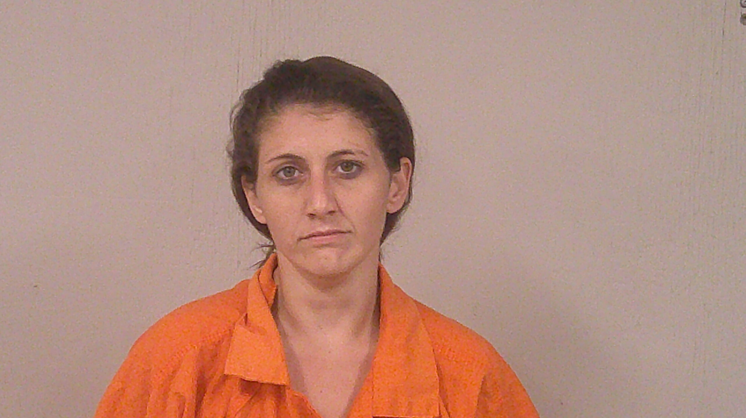 NOWELS, TABITHA LYNN booking photo