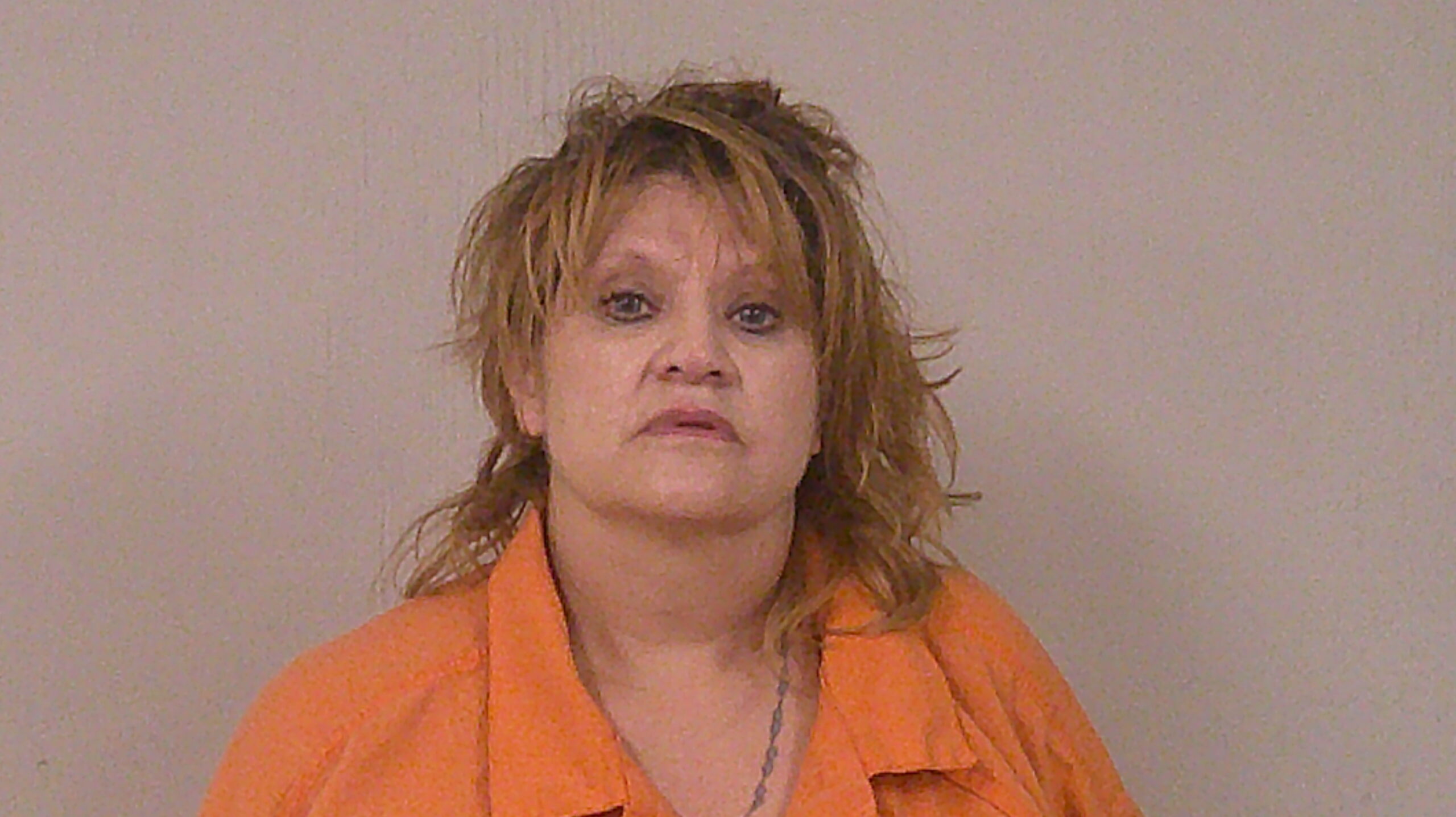 PEREZ, CHRISTINE arrested by Burnet Police Department