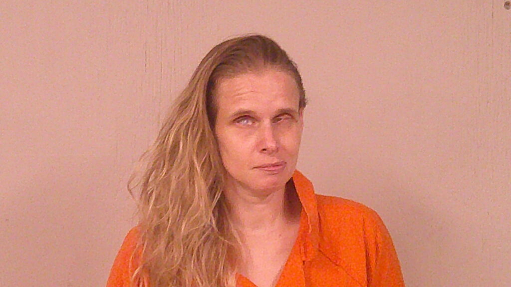 THOMPSON, VICTORIA NICOLE arrested in Burnet County, Texas mugshot