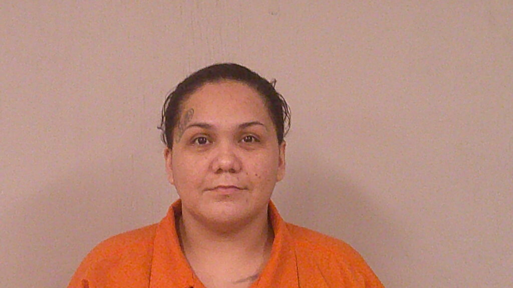 BASALDUA, GLORIA ANN arrested in Burnet County, Texas mugshot