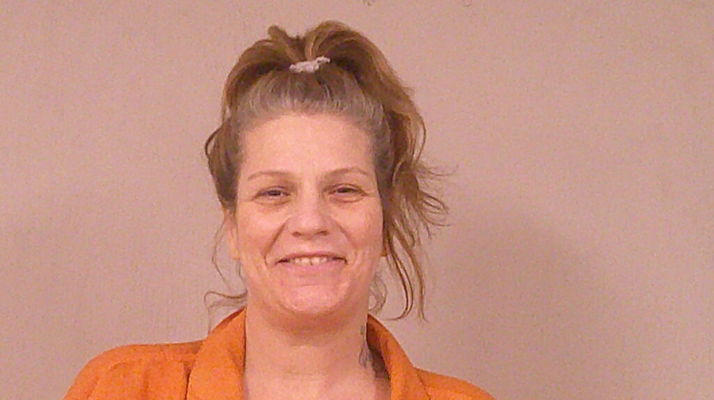 DOLESHAL, DANIELLE MEREDITH arrested in Burnet County, Texas mugshot