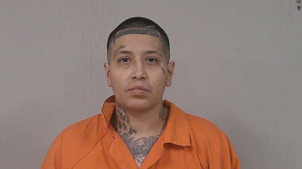 RODRIGUEZ, IRENE arrested in Burnet County, Texas mugshot