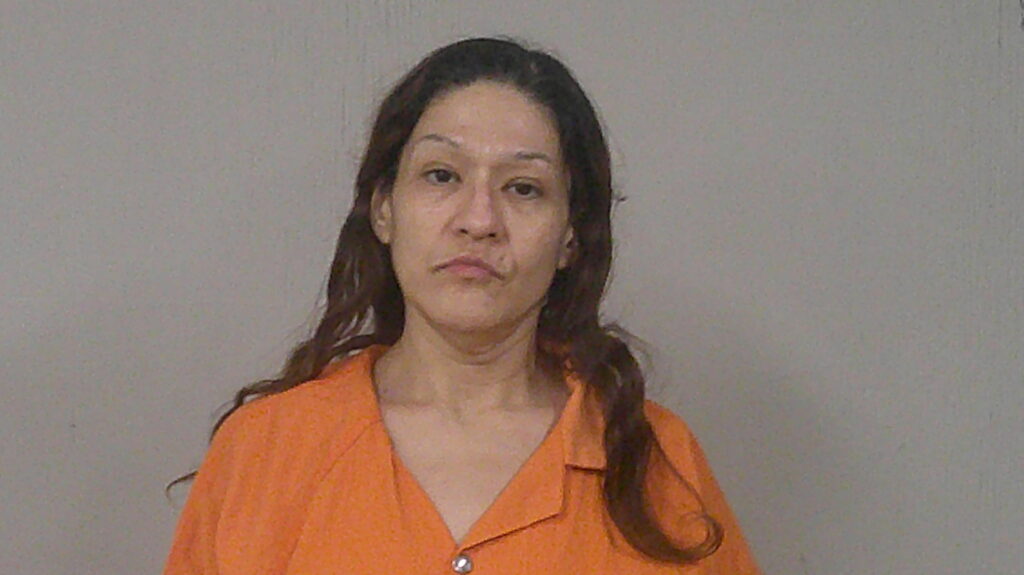 FERNANDEZ, ELIZABETH G arrested in Burnet County, Texas mugshot
