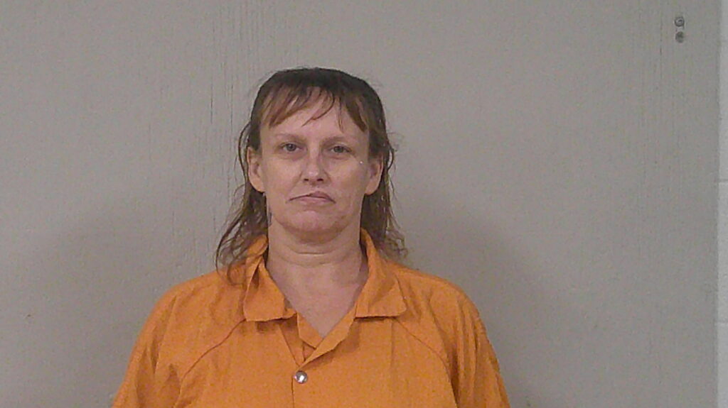 BROWN, STACY ANN arrest record in Burnet County, Texas BROWN, STACY ANN arrested in Burnet County, Texas mugshot