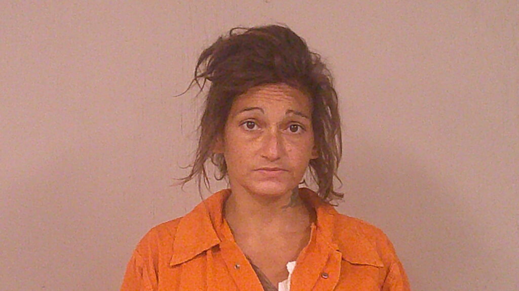 MADDUX, TRULENA RENEA arrested in Burnet County, Texas mugshot