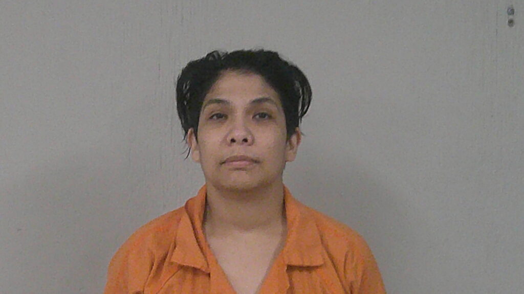 SALINAS, JENEVIVE FAY arrested in Burnet County, Texas mugshot