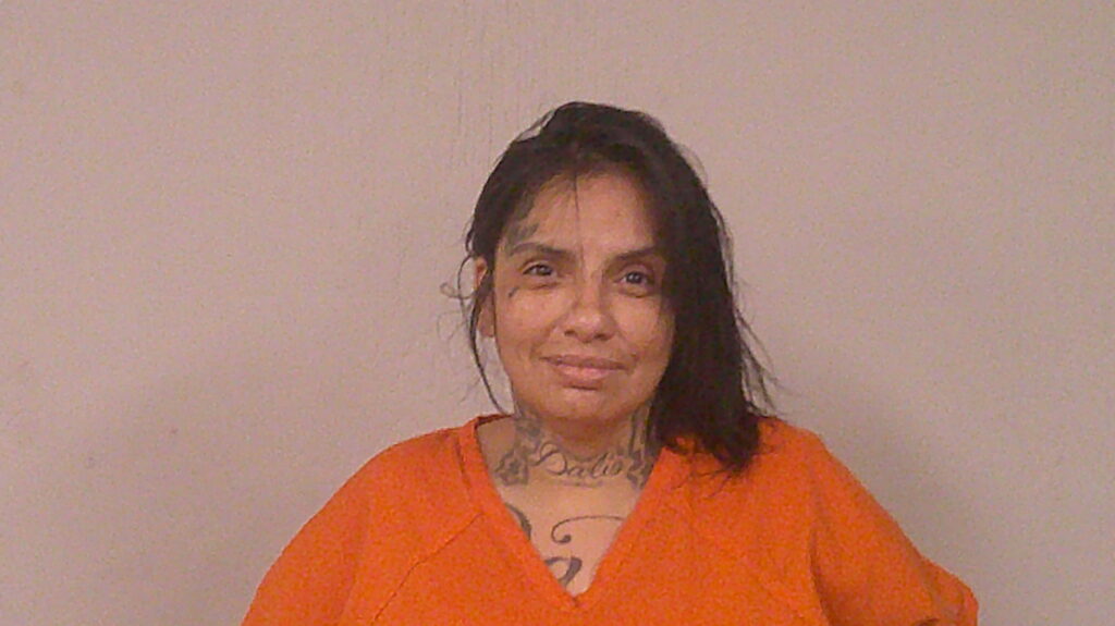 GARZA, NATALIE ANN arrest record in Burnet County, Texas GARZA, NATALIE ANN arrested in Burnet County, Texas mugshot