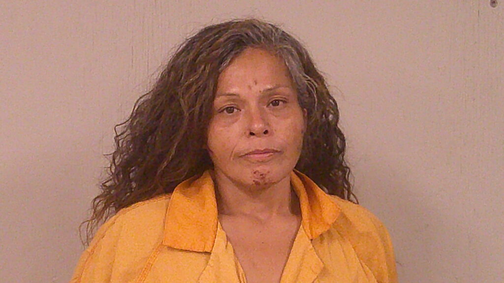 LERMA, ALICE MARIE arrested in Burnet County, Texas mugshot