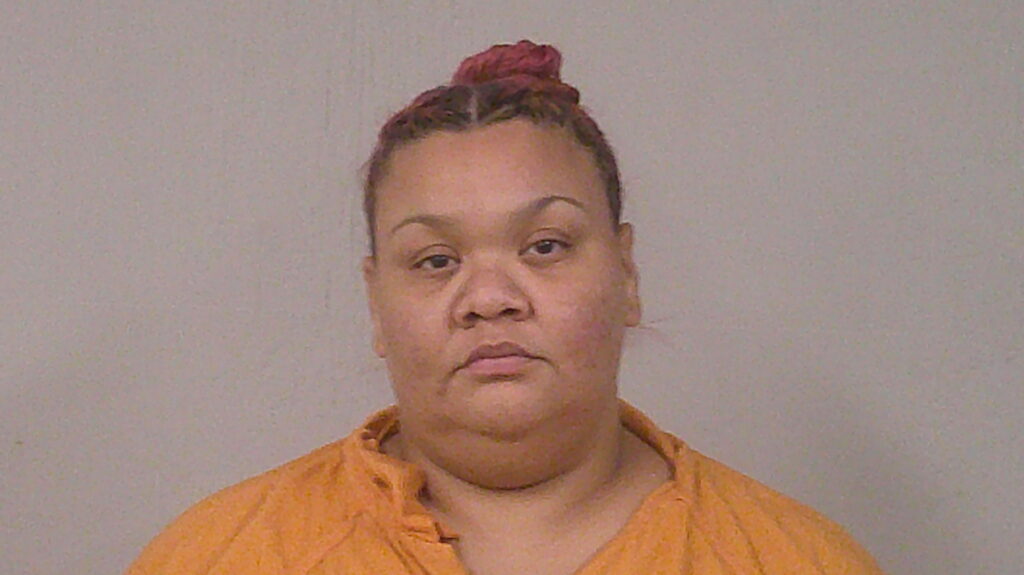 NAVARRO, SARA ANN arrested in Burnet County, Texas mugshot