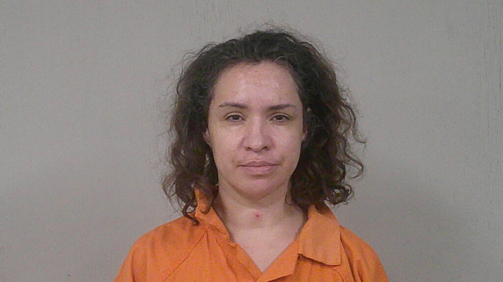 LEZAMA, DENISE MARIE arrest record in Burnet County, Texas LEZAMA, DENISE MARIE arrested in Burnet County, Texas mugshot