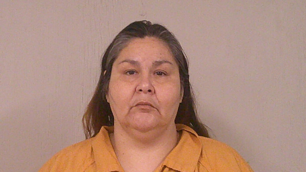 CANALES, SHEWANA arrested in Burnet County, Texas mugshot
