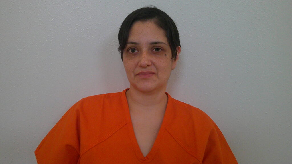 GALVAN, HEATHER RENE arrest record in Burnet County, Texas GALVAN, HEATHER RENE arrested in Burnet County, Texas mugshot