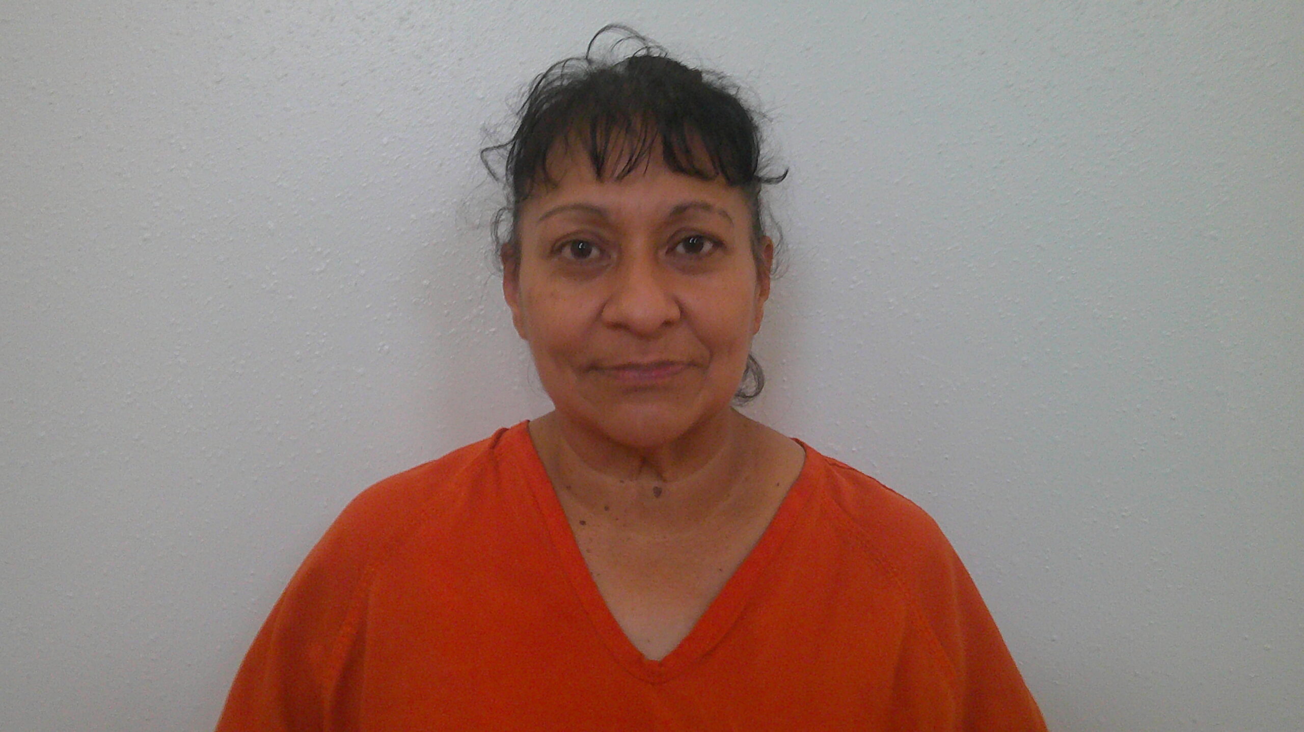GALVAN, ELIZABETH VALFRE booking photo