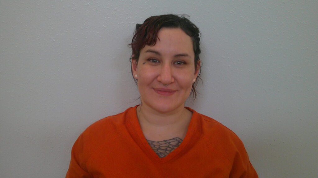 LIPPY, MARY HELEN arrested in Burnet County, Texas mugshot