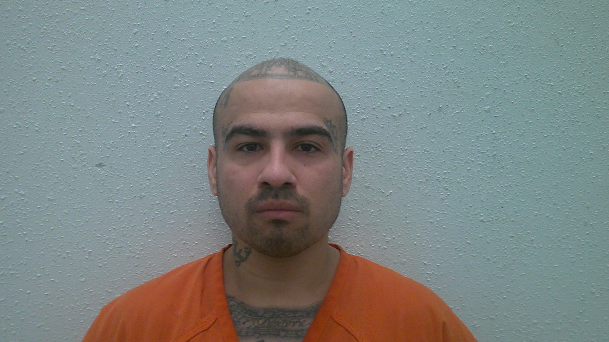 RODULFO, EFRAIN booking photo