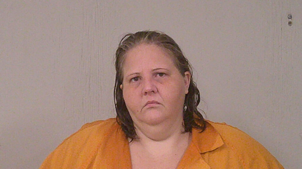 MEYER, AMANDA CHRISTINE arrested in Burnet County, Texas mugshot