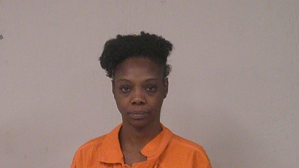 ALEXANDER, ASHLEY NICOLE arrested in Burnet County, Texas mugshot