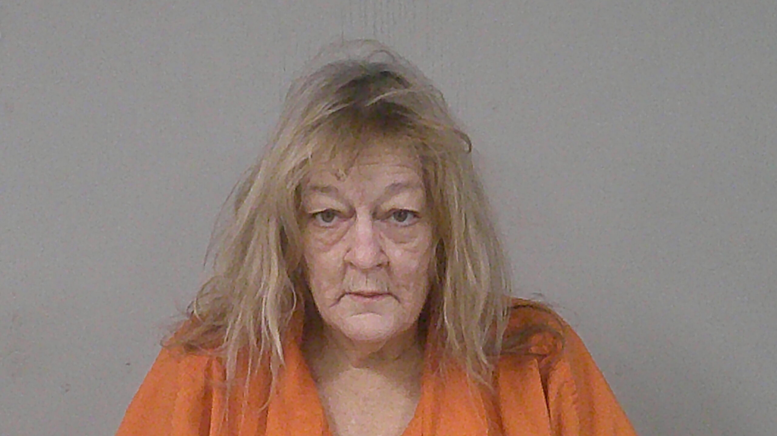 VILCHIS, DANA MICHELE arrested by Burnet County Sheriff’s Office