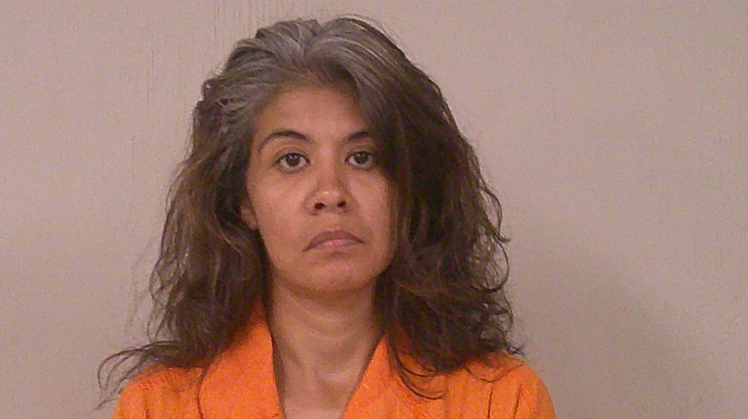 GARZA, TINA MARIE arrested by Burnet County Sheriff’s Office