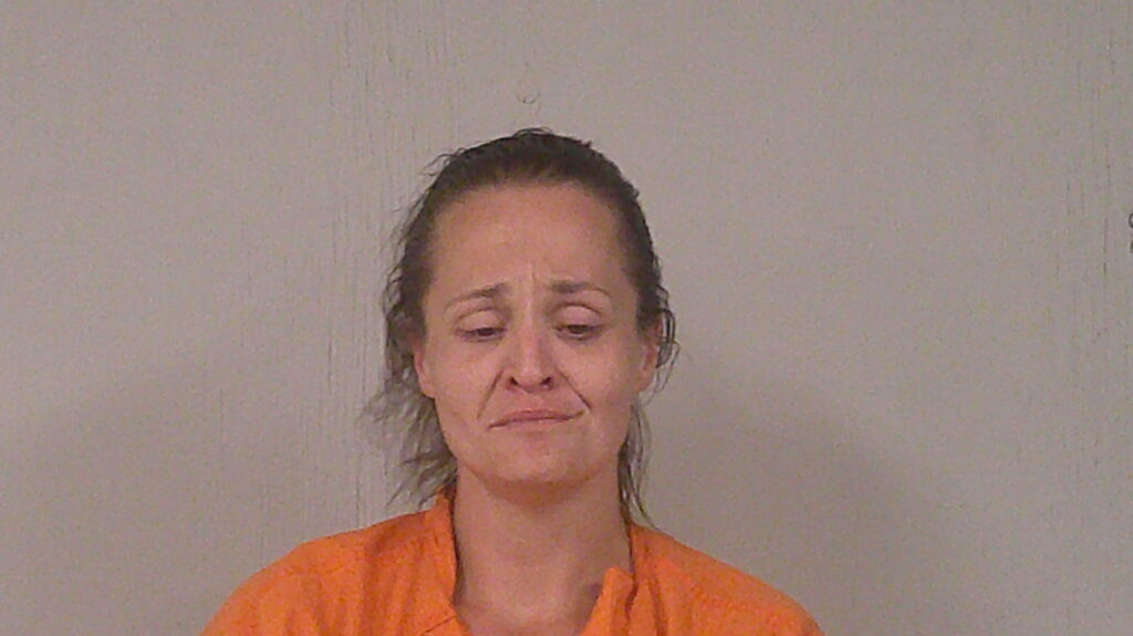 CROMEANS, MICHELLE RENEE arrested in Burnet County, Texas mugshot