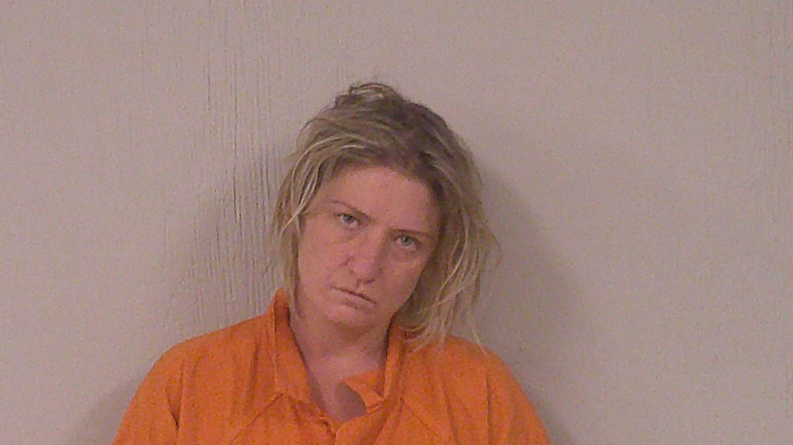 WEBB, AIMEE ELIZABETH arrested by Burnet County Sheriff’s Office
