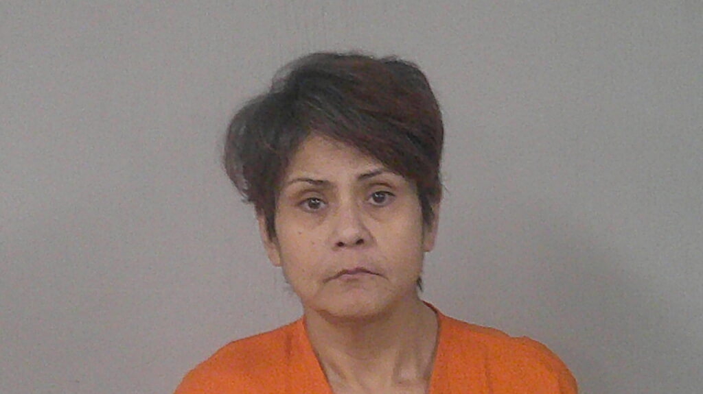 ESTRADA, ERICA arrested in Burnet County, Texas mugshot