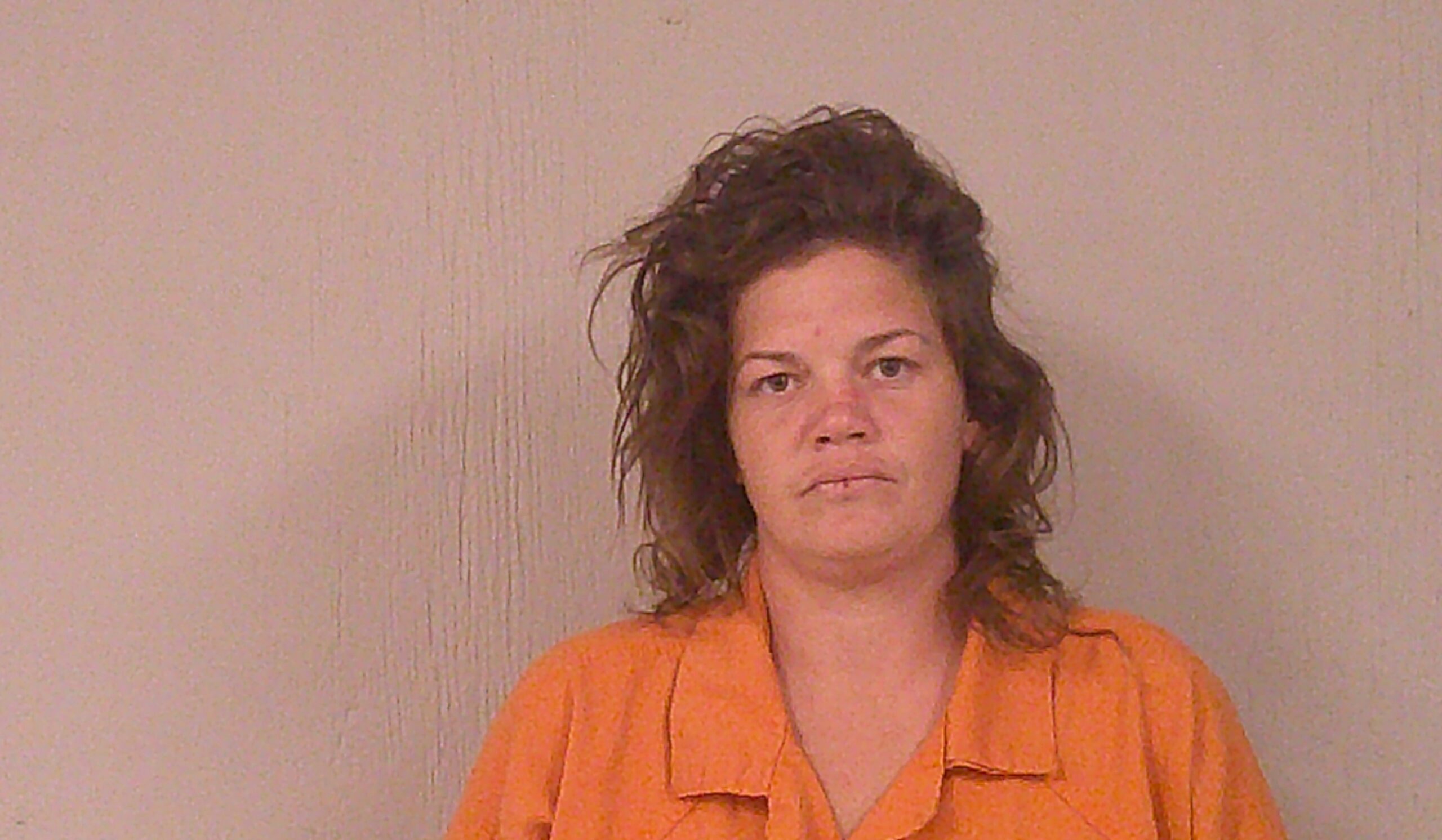 DAVIS, SHIELA MARIE arrested by Bell County Sheriff’s Office