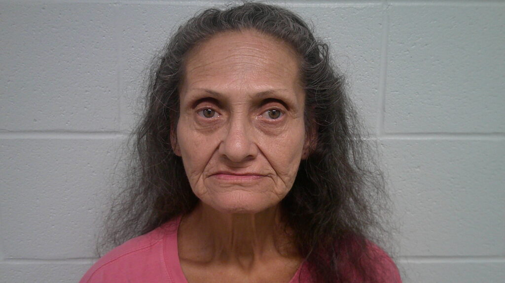 BURR, SYLVIA LEIGH arrest record in Burnet County, Texas BURR, SYLVIA LEIGH arrested in Burnet County, Texas mugshot