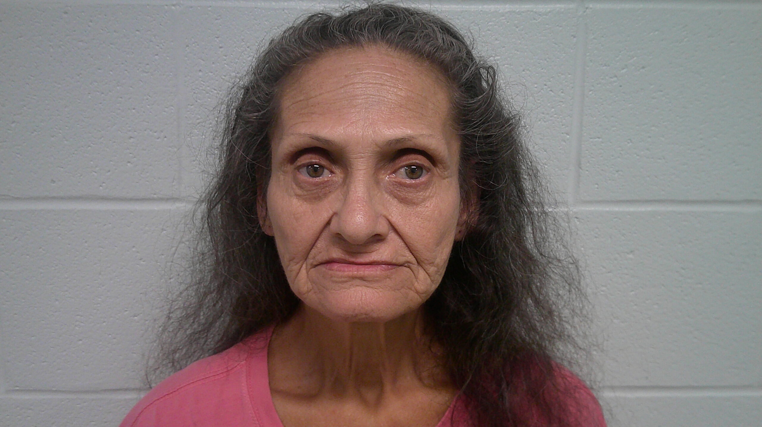 BURR, SYLVIA LEIGH booking photo