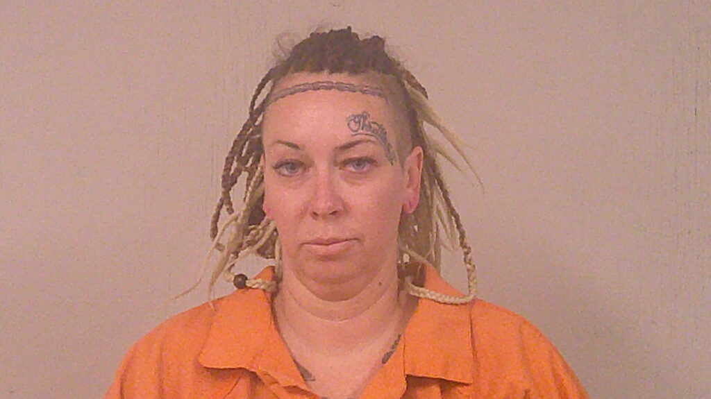 BERNER, ALISON LYNN arrest record in Burnet County, Texas BERNER, ALISON LYNN arrested in Burnet County, Texas mugshot