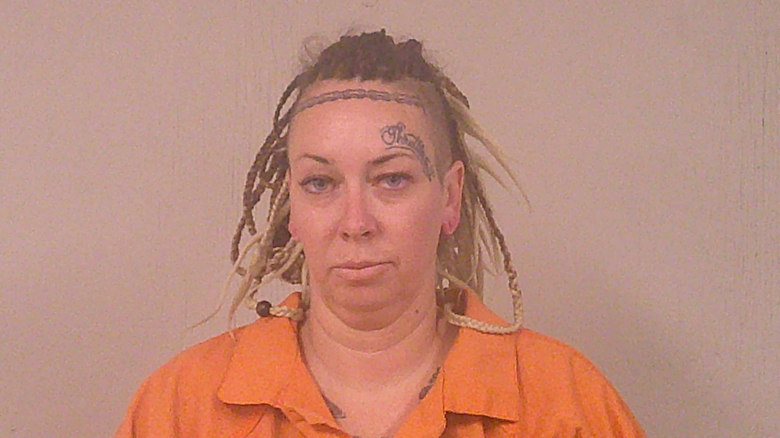 BERNER, ALISON LYNN arrested by Burnet County Sheriff’s Office