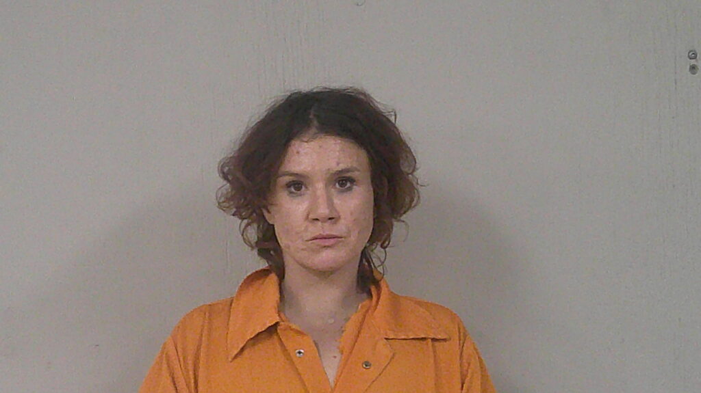 PATTERSON, MAUREEN ELIZABETH arrested in Burnet County, Texas mugshot