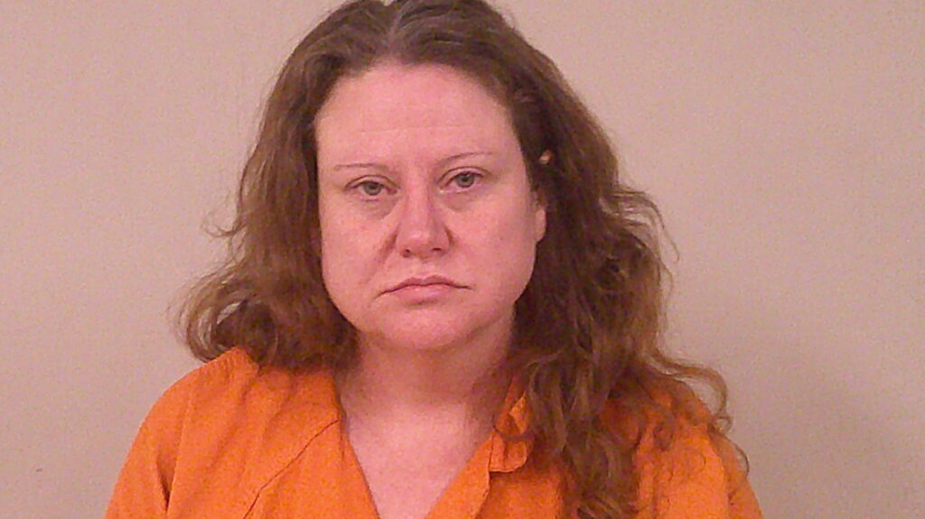 SCHNITZLER, RACHEL LYNN arrested in Burnet County, Texas mugshot