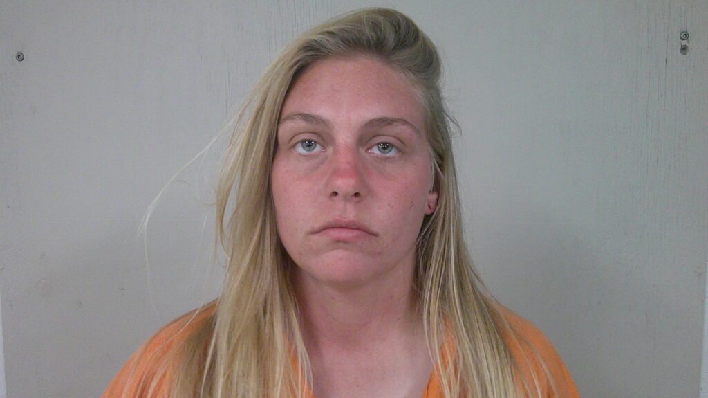 DODD, LAUREN MICHELE arrested in Burnet County, Texas mugshot