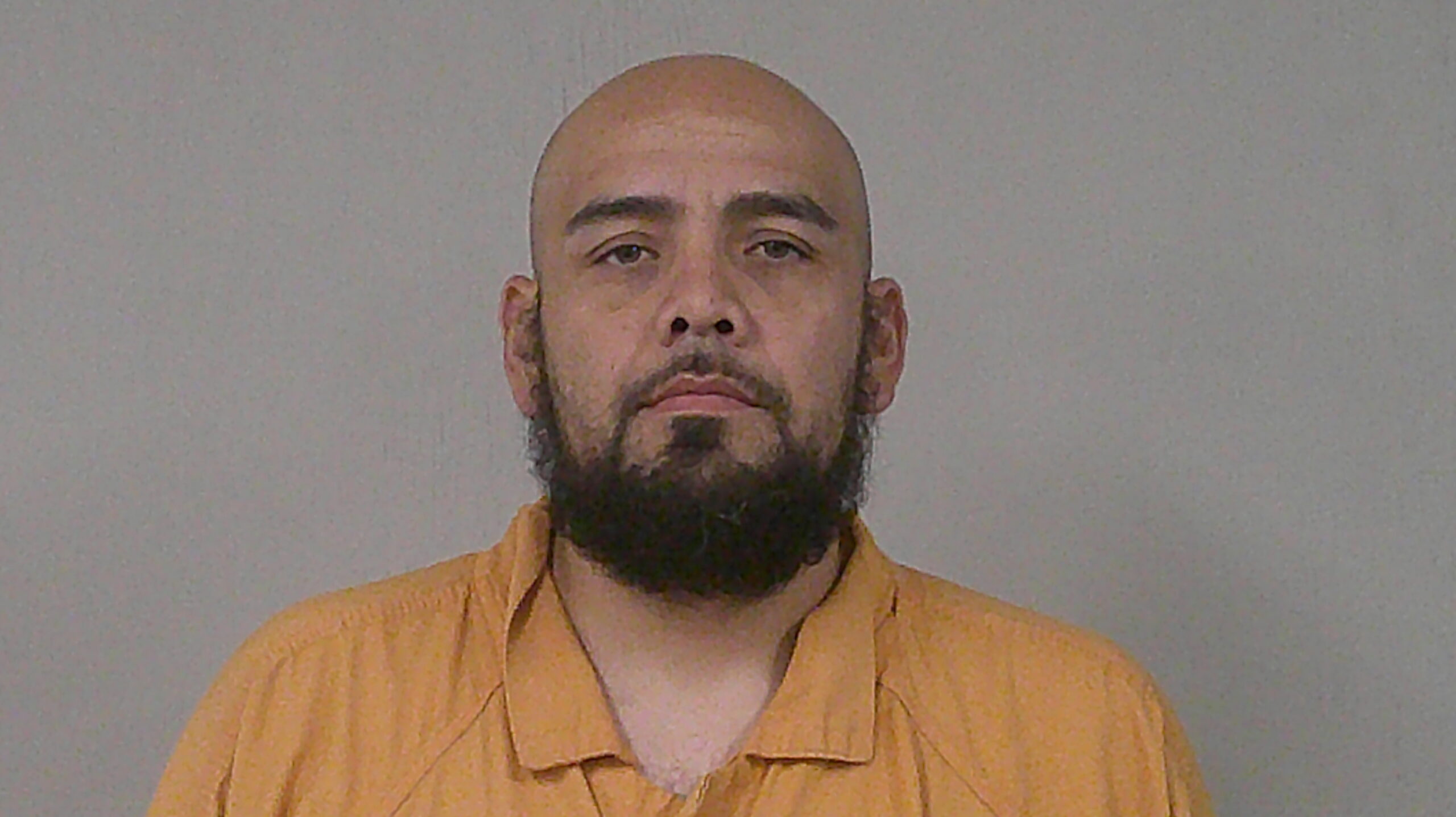 VELIZ, MAINOR VINISIO booking photo