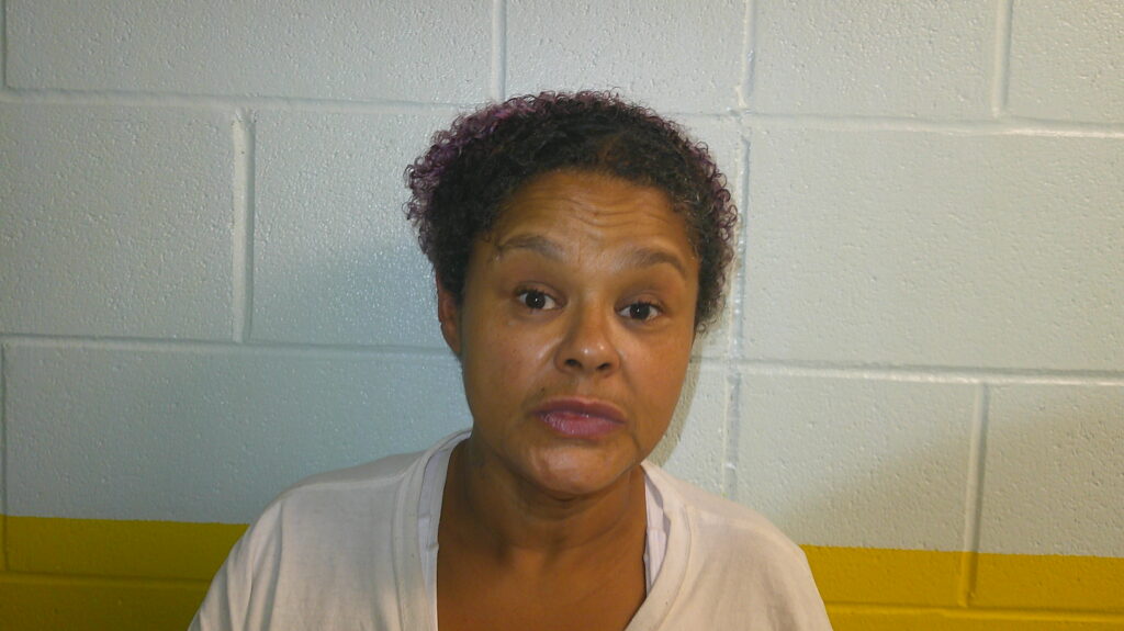 SCARFFOL, AMBER C arrested in Burnet County, Texas mugshot