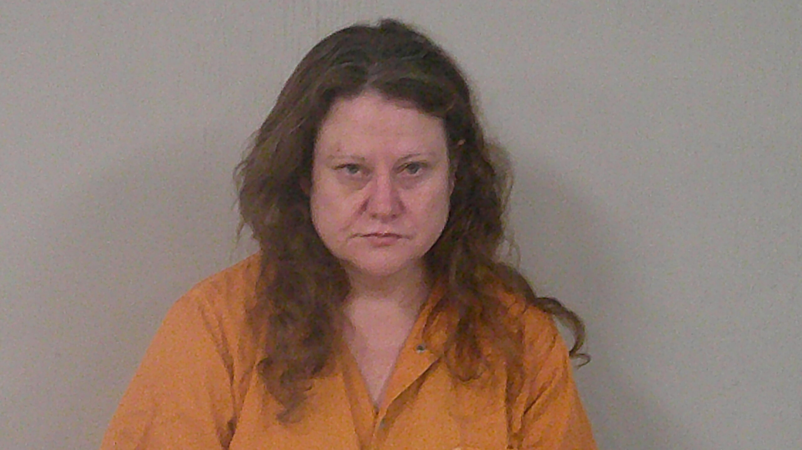 SCHNITZLER, RACHEL LYNN booking photo