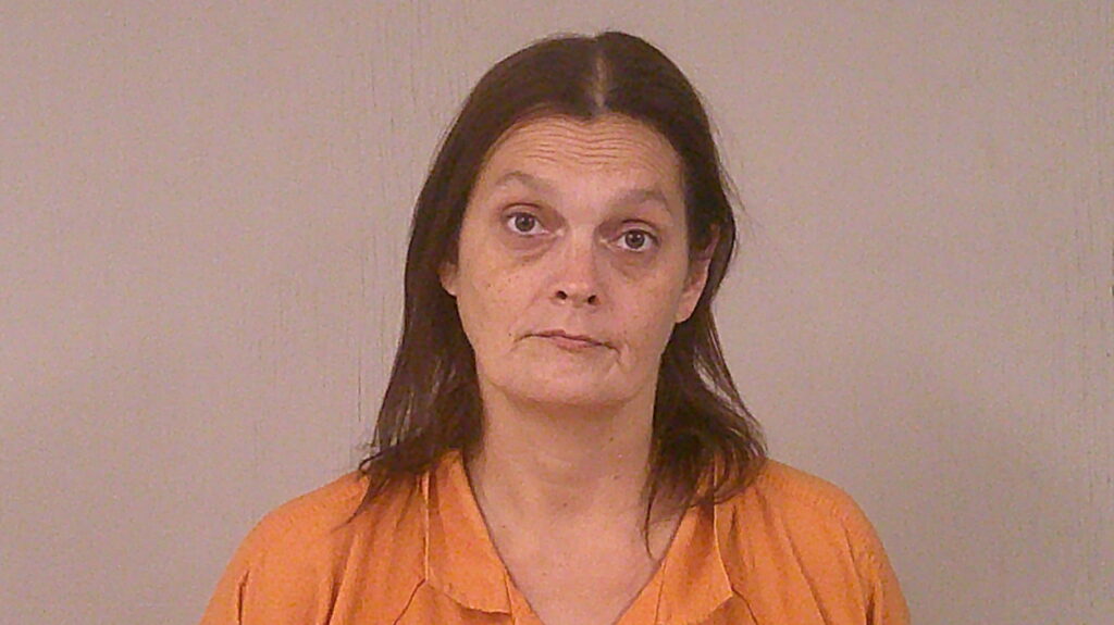 SCHLOSSER, NICOLE MICHAELA booking photo