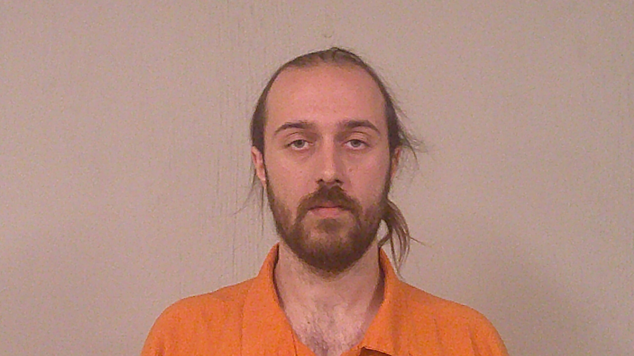 POLASEK, ALLAN GENE booking photo