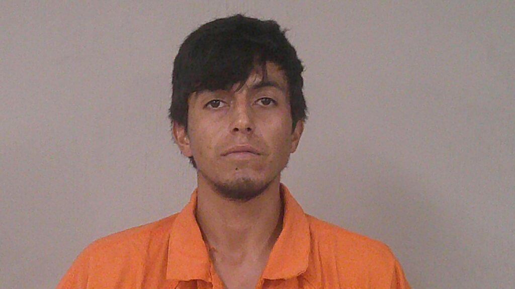 FLORES, ORLANDO DANIEL booking photo