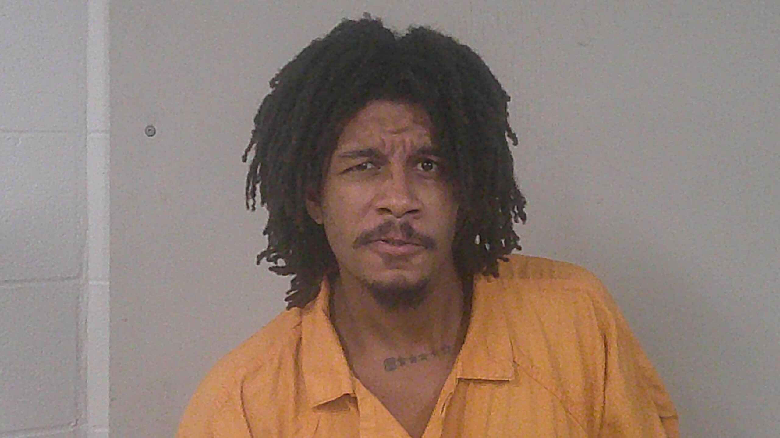 BROWN, BRANDON JOEL booking photo