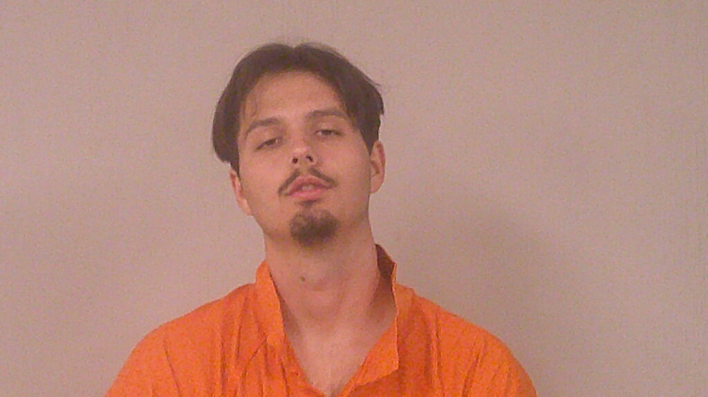 BIDDY, MICHAEL WAYNE booking photo