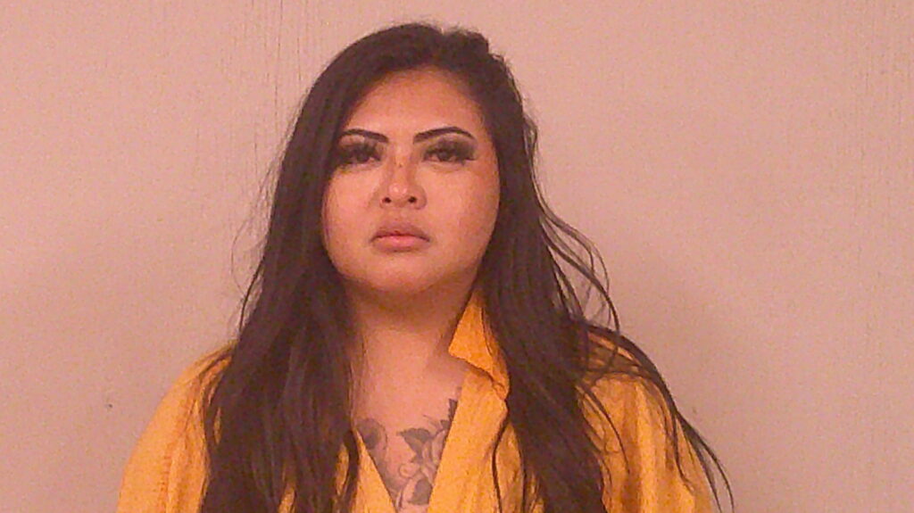 GONZALES, ERIKA ANN booking photo