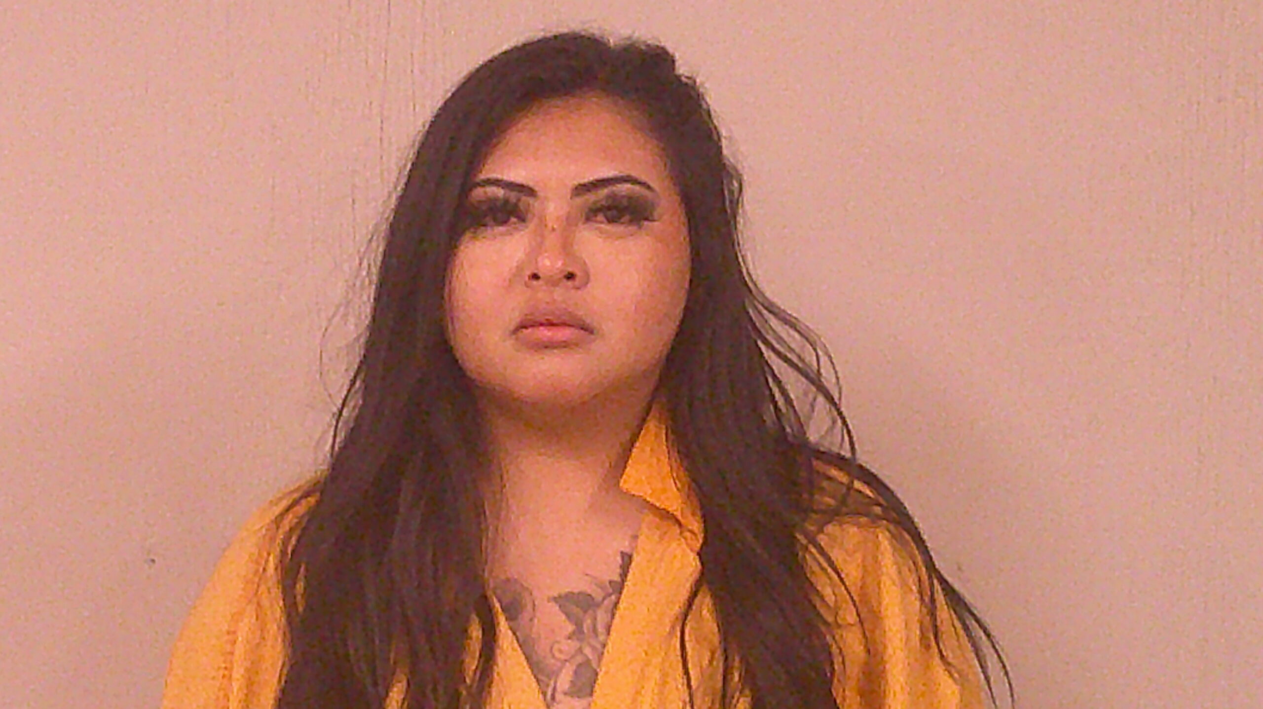 GONZALES, ERIKA ANN booking photo